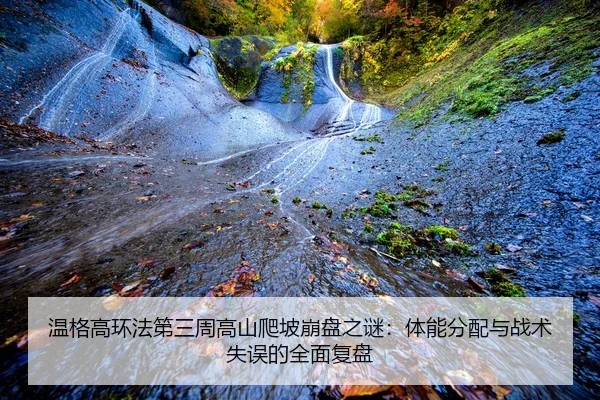 wen-ge-gao-huan-fa-di-san-zhou-gao-shan-pa-po-beng-pan-zhi-mi-ti-neng-fen-pei-yu-zhan-shu-shi-wu-de-quan-mian-fu-pan-2-618.jpg